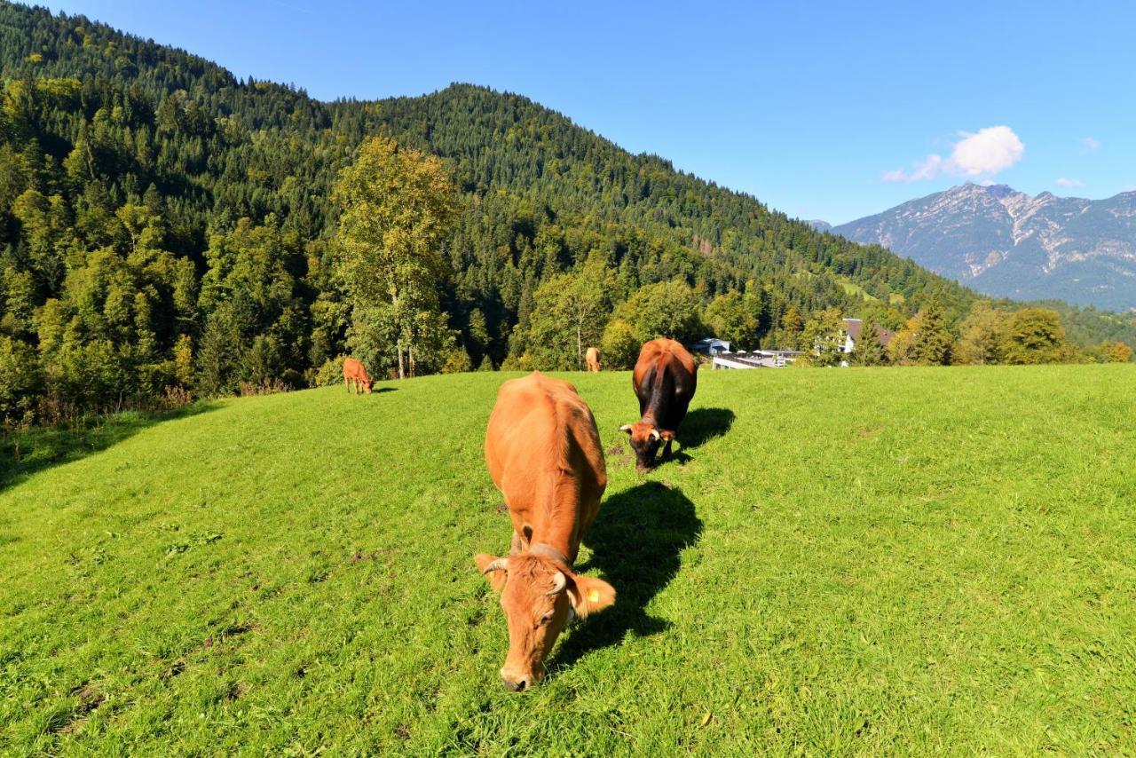Das Graseck - mountain hideaway&health care Garmisch-Partenkirchen Exterior foto